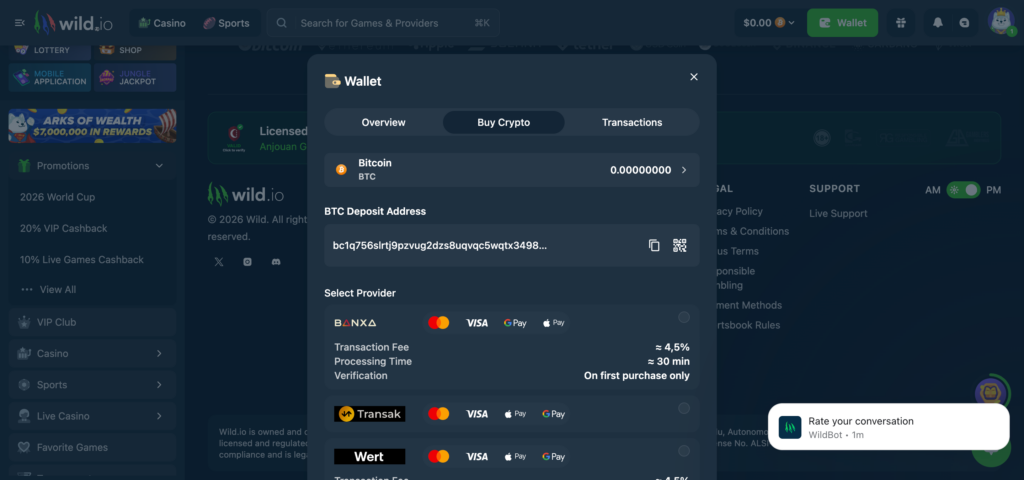 Wild.io pay with card options