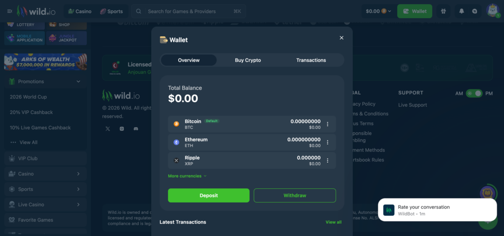 Wild.io deposit option