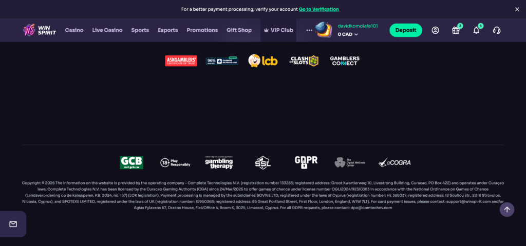 winspirit footer