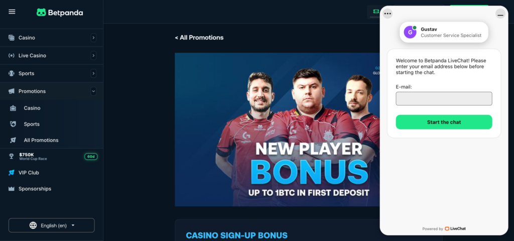 BetPanda customer chat