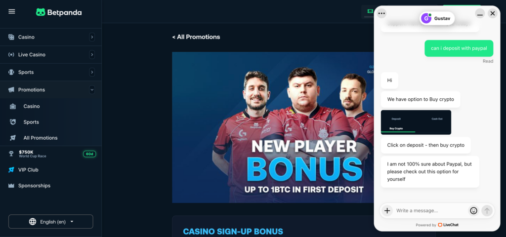 BetPanda fast customer support 