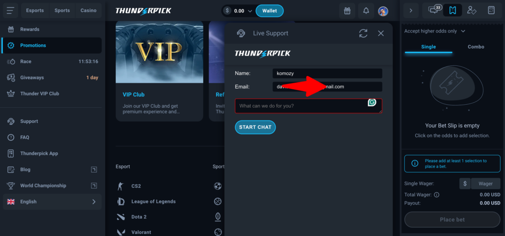 Thunderpick support input
