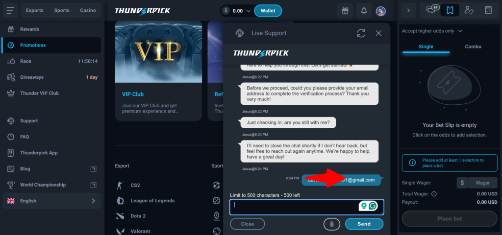 Thunderpick support chat