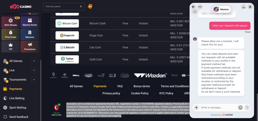 Woocasino support chat