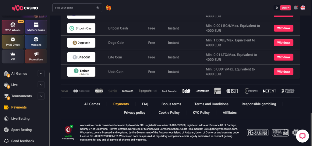 Woocasino footer