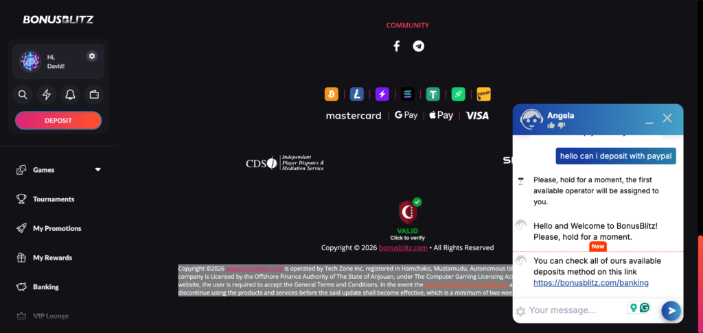 BonusBlitz support chat 2