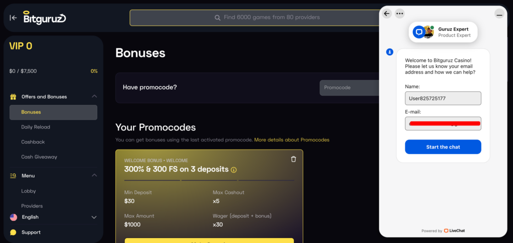 Bitguruz support chat