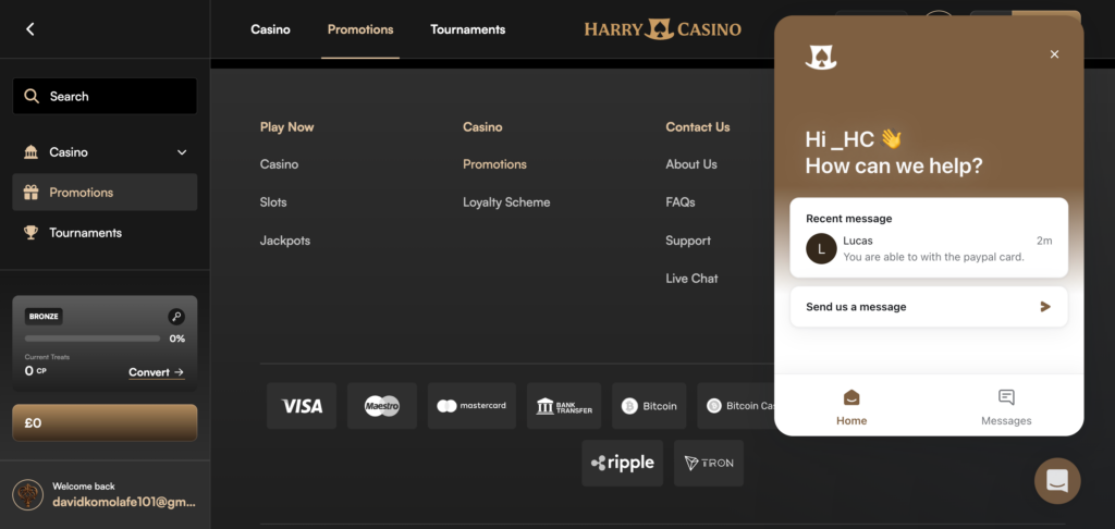Harry Casino support chat