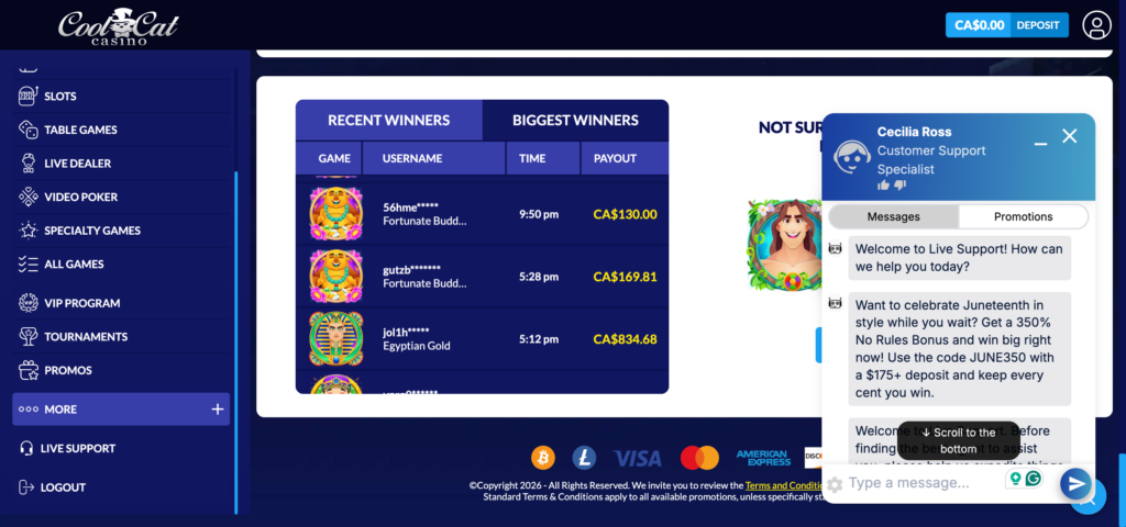 CoolCat Casino live support conversation