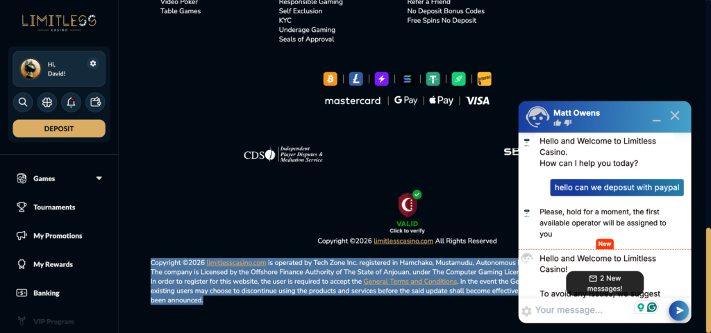 Limitless Casino support chat