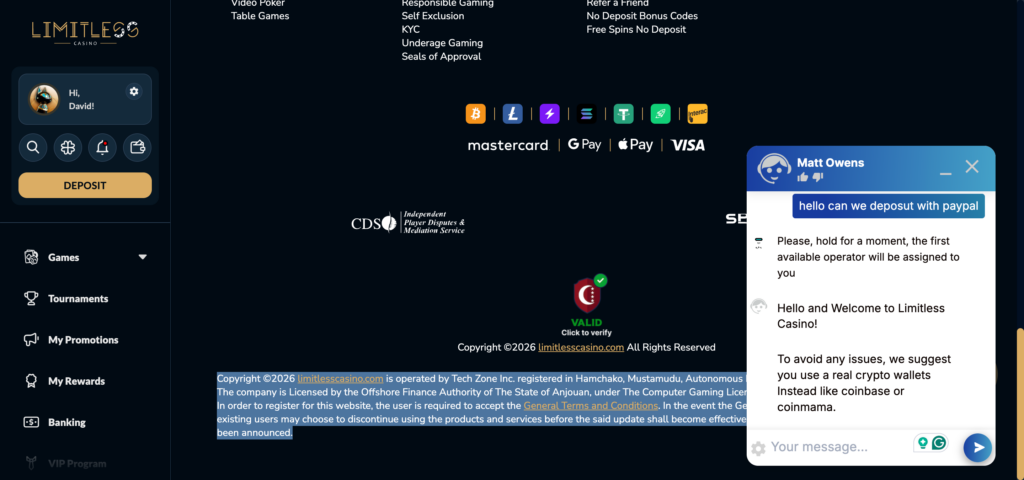 Limitless Casino support chat conversation