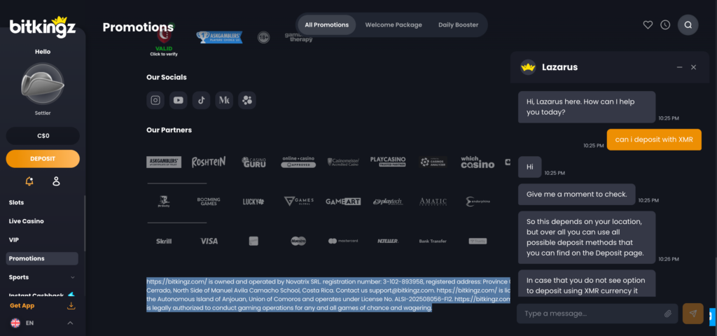 Bitkingz support chat