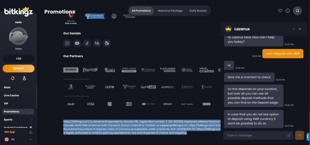 Bitkingz support chat