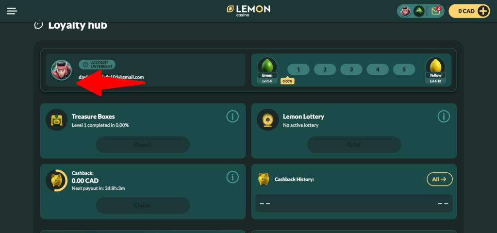 Lemon Casino account setting