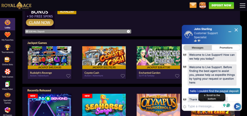 Royal Ace Casino support chat